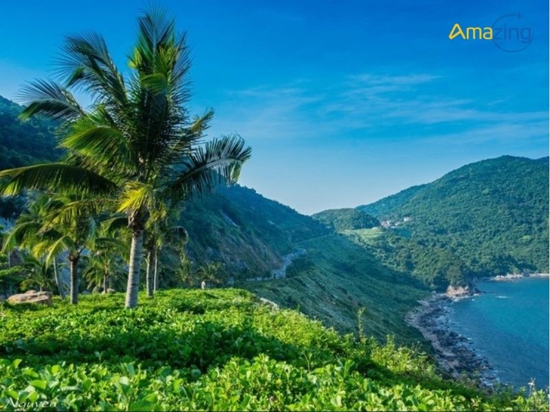 Bán đảo Sơn Trà Đà Nẵng - Sơn thủy hữu tình