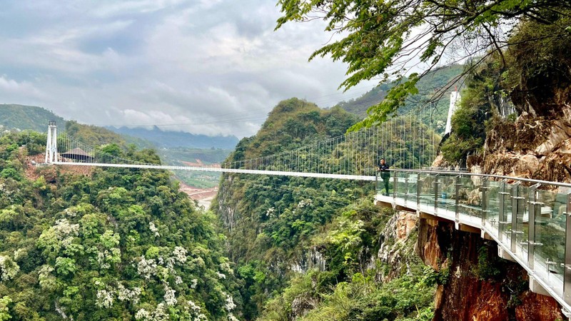 Cao Nguyên Mộc Châu - Cầu Kính Tình Yêu - Cầu Kính Bạch Long (2 Ngày 1 Đêm)